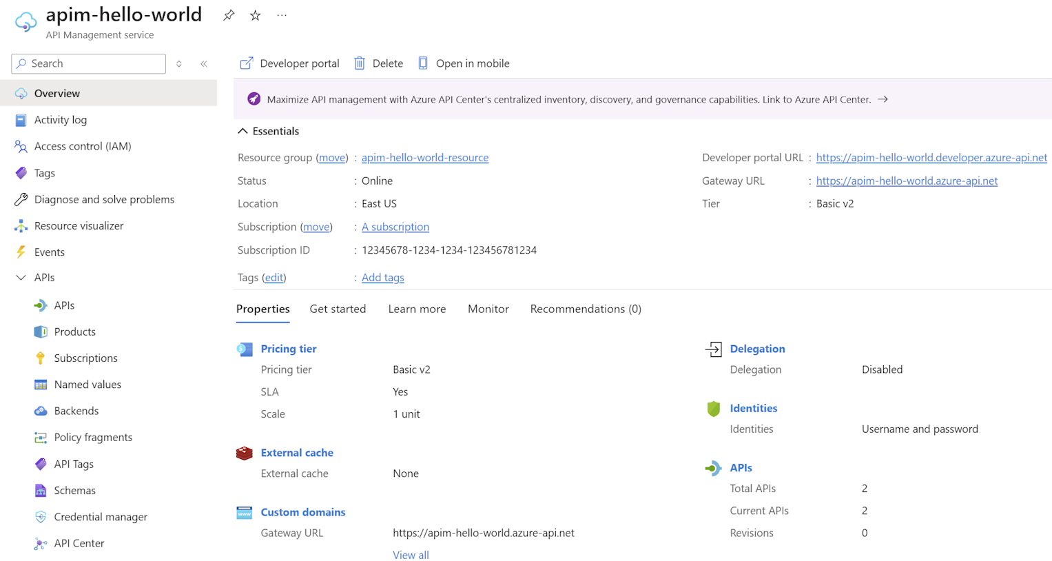 Screenshot des Übersichtsabschnitts Ihrer API-Verwaltungsinstanz.