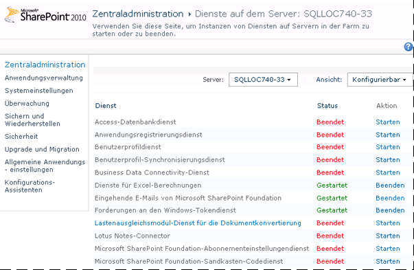 Screenshot der Seite "Dienste auf dem Server verwalten"