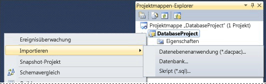 SSDT Importieren (Menü)