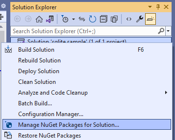 Ein Screenshot des Solution Explorers von Visual Studio, in dem das Projekt mit der rechten Maustaste angeklickt wurde und die Option 