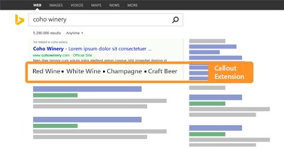 Callout Ad Extension Callout Ad Extension
