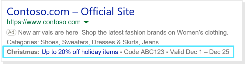 Promotion Ad Extension Promotion Ad Extension