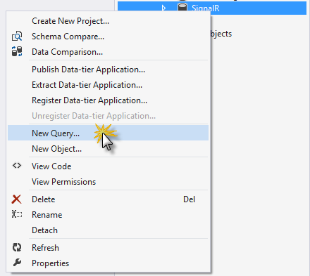 Opening a New Query Opening a New Query