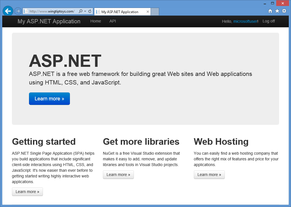 Click to Expand the Image Image of default Microsoft home page