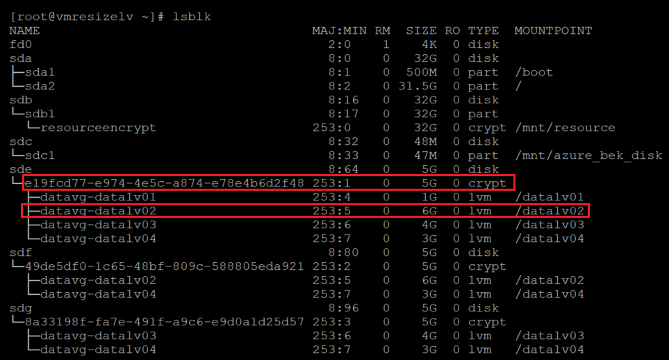 Screenshot showing the result of the l s b l k command with the output highlighted and showing the encrypted layer.