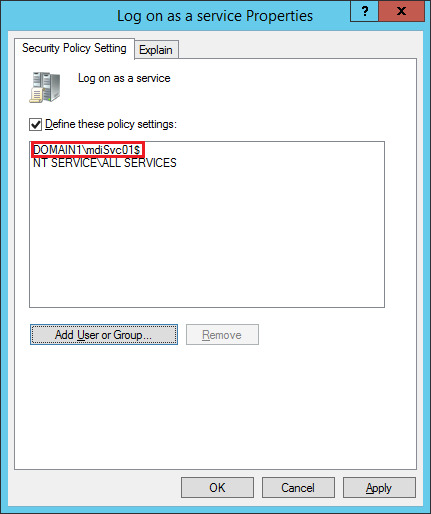 Screenshot of the log on as a service property.