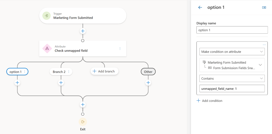 Branch journey using unmapped field