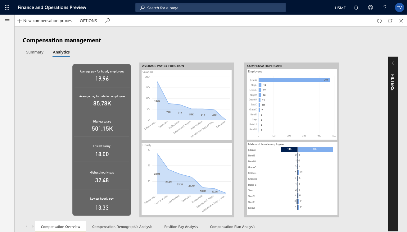 Screenshot of Analytics tab in the Compensation management analytical workspace.