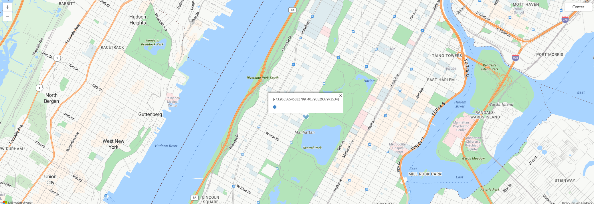 Screenshot of an interpolated point at the New York City Central Park.