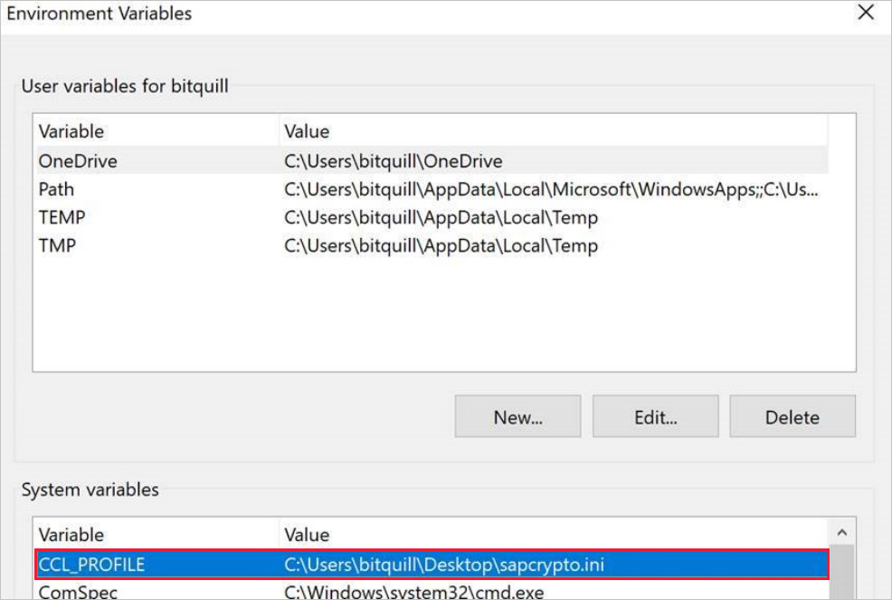 Screenshot of CCL_PROFILE system environment variable.