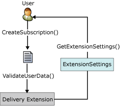 IDeliveryExtension interface process IDeliveryExtension interface process