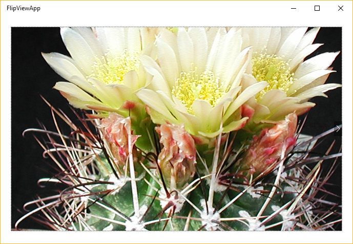 JS_DOM_AppFixed FlipView app showing expected results