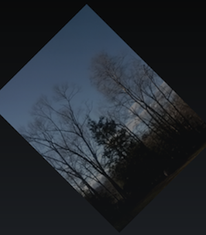 Example screenshot of a live image from the device's camera