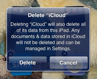 Screenshot shows a warning for Delete i Cloud.