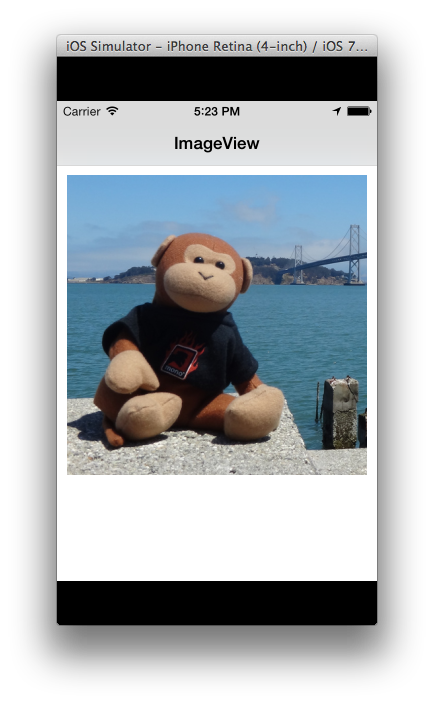 Example with whole image visible