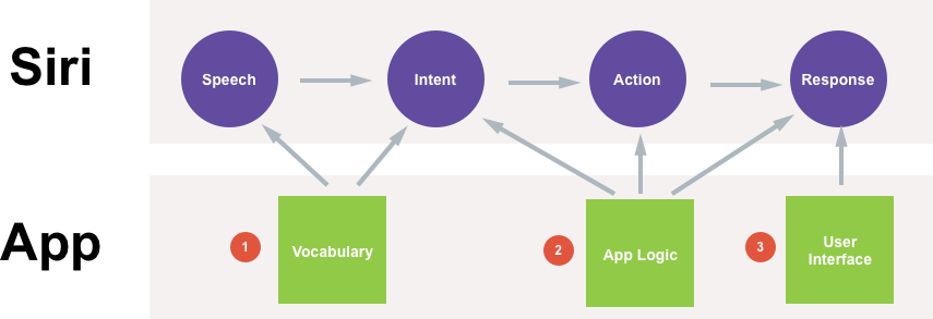 The three main ways that the app can take part in the users conversation with Siri