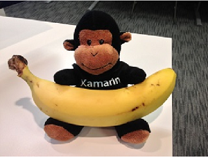 Displaying Sample Displaying Sample