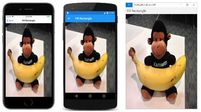 Fill Rectangle Fill Rectangle