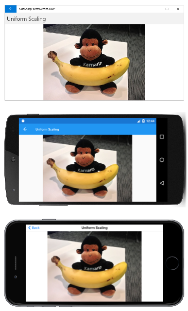 Uniform Scaling landscape Uniform Scaling landscape