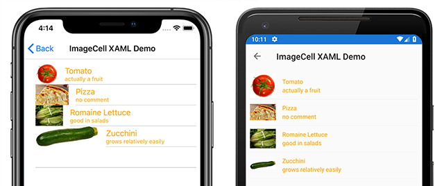 Customized ImageCell Example "Customized ImageCell Example"