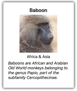 CarouselView Screenshot of a CarouselView