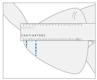Screenshot that shows metric ruler marking two and eight-millimeter depths on a plastic pick.