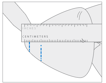 Photo that shows a pick marked at 3 mm and 10-mm depths for controlled PSA cutting.