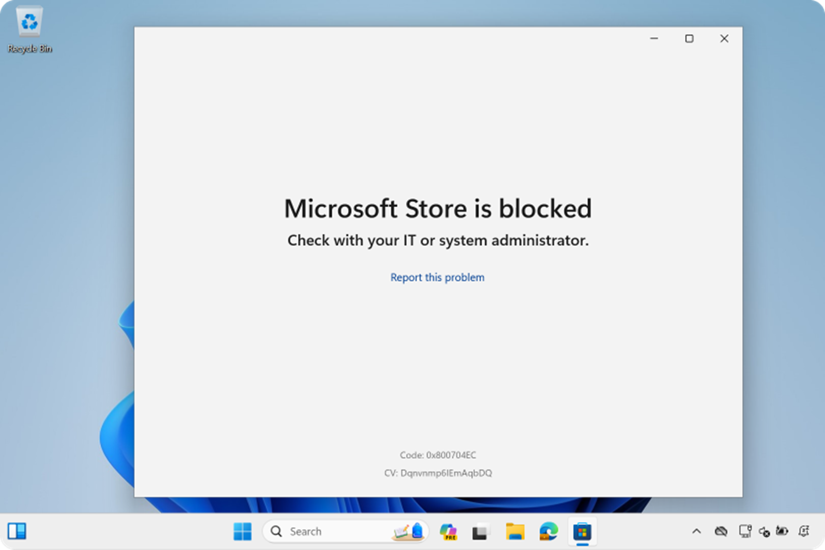 Screenshot of the Microsoft Store startup error.