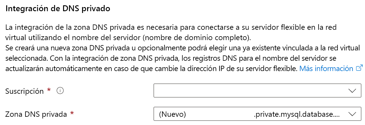 Recorte de pantalla de la configuración de la integración de DNS privada.