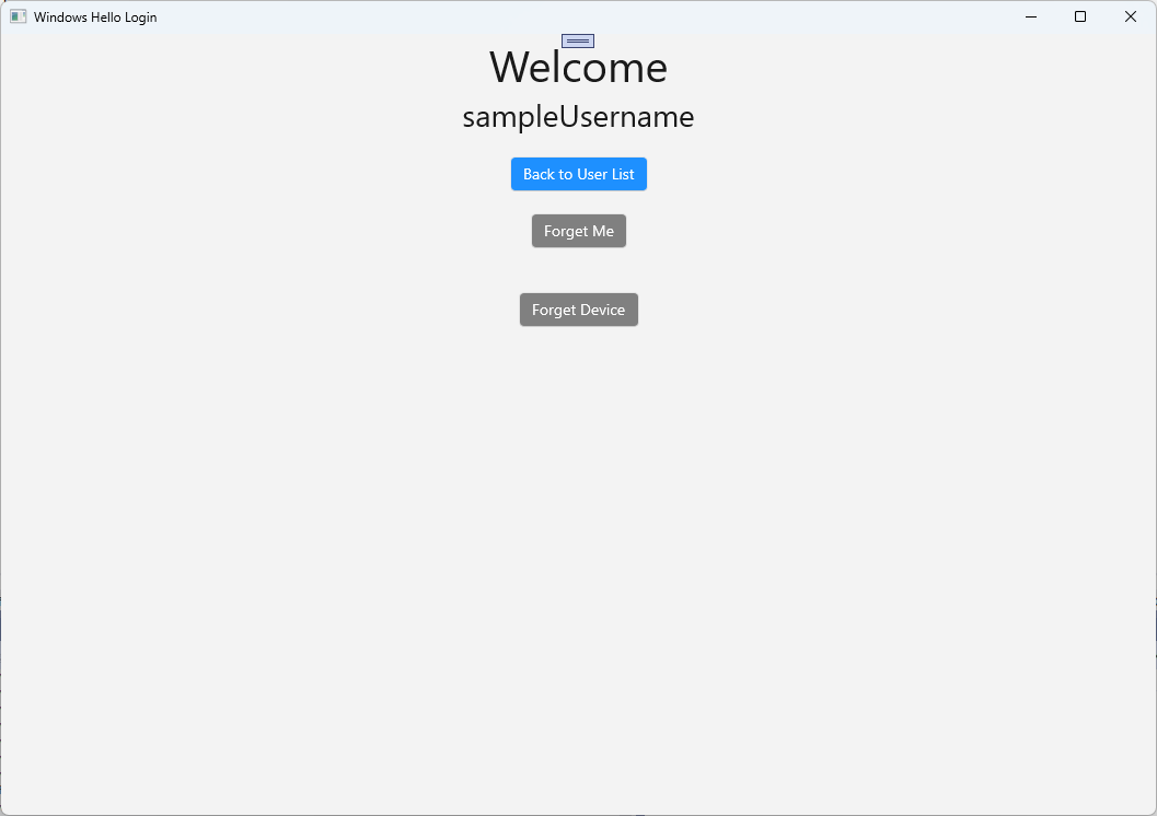 Zrzut ekranu przedstawiający pomyślne zakończenie logowania za pomocą Windows Hello