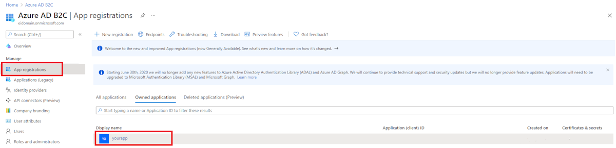 Tela de registros de aplicativo com o nome de exibição selecionado.