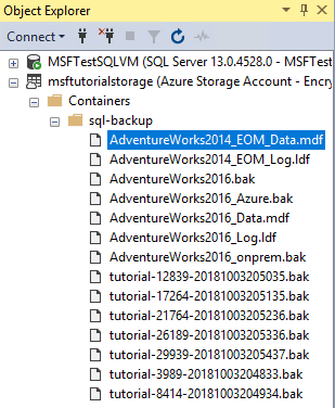 Captura de tela do navegador de armazenamento do SQL Server Management Studio de contêineres do Azure mostrando os dados e os arquivos de log do novo banco de dados.