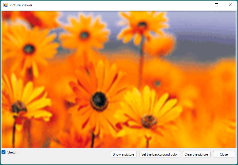 Captura de tela mostra o aplicativo Visualizador de Imagens com uma imagem exibida.