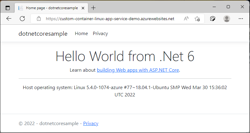 Captura de ecrã que mostra a aplicação implementada.