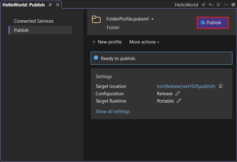 Visual Studio Publicar janela.