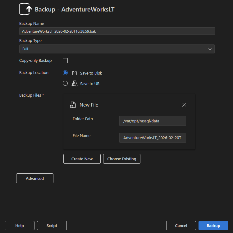 Captura de ecrã da janela de diálogo Backup com Guardar no Disco selecionado.