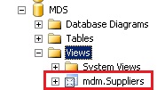 SQL Server Management Studio — mdm.Suppliers View