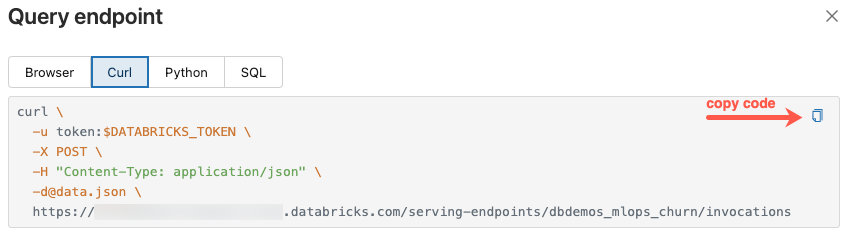 kopieringsknapp i frågegränssnittsdialogrutan