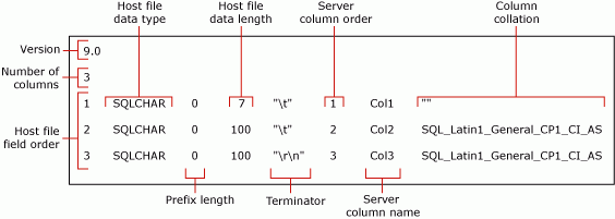 Diagram som beskriver standardfilen för icke-XML-format för mytestskipcol.