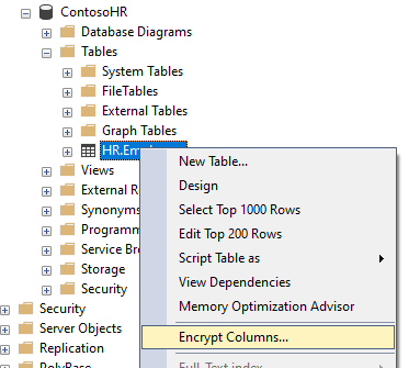 Skärmbild av att öppna guiden Always Encrypted.