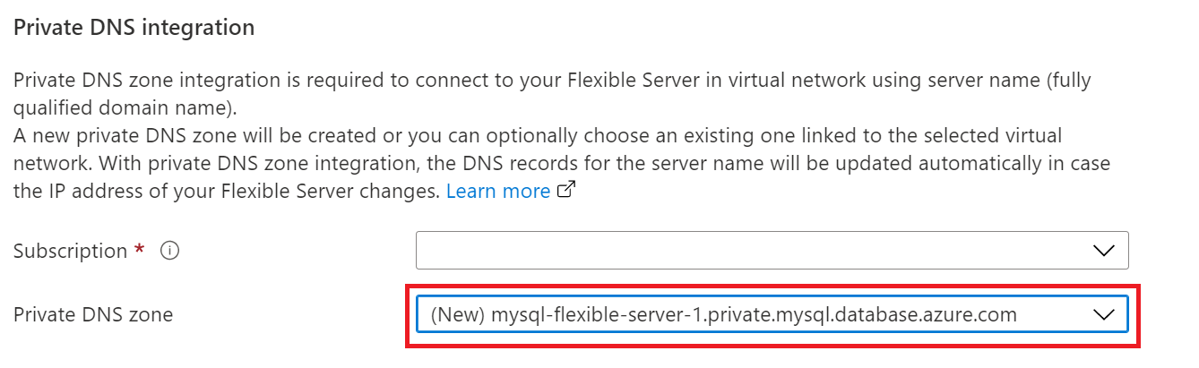 屏幕截图,其中显示 DNS 配置。