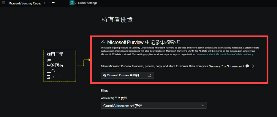 所有者设置页面的图像，其中突出显示了日志记录审核数据。