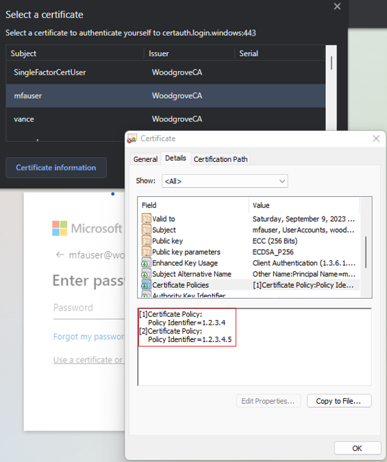 显示身份验证详细信息的屏幕截图。