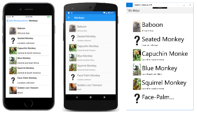 TargetNullValue 绑定